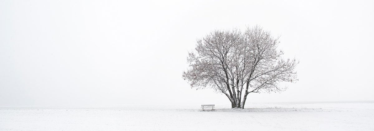 adivinar futuro sin cartas tarot