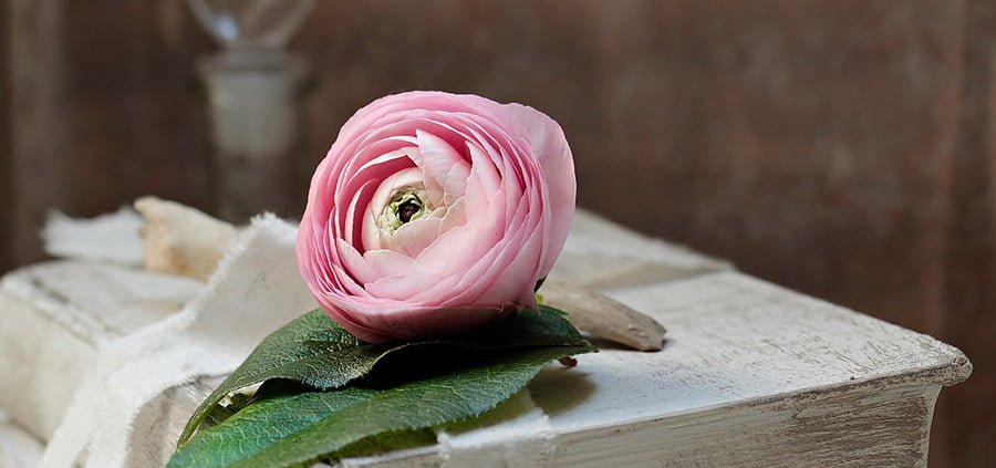 son peligrosos los registros akashicos