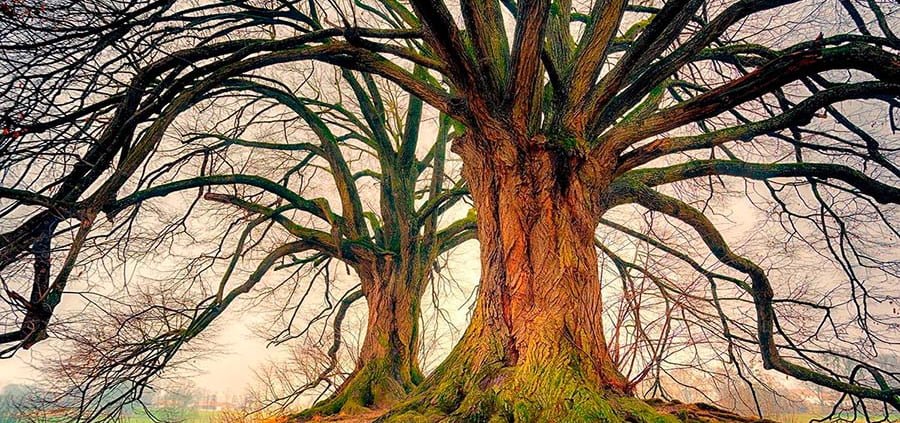 la verdad sobre los registros akashicos